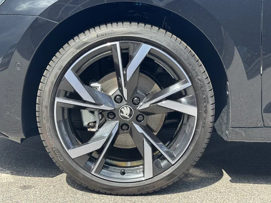Bild eines Octavia Sportline TSI mHEV DSG