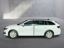Škoda Octavia Combi Selection TDI DSG in Moon-Weiß Metallic
