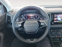 Škoda Karoq 4x4 Selection TDI DSG in Graphit-Grau Metallic