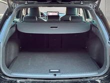 CUPRA Leon SP Kombi 2.0 TDI DSG in Nacht-Schwarz Metallic