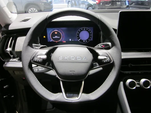 Bild eines Kodiaq 4x4 Selection TDI DSG