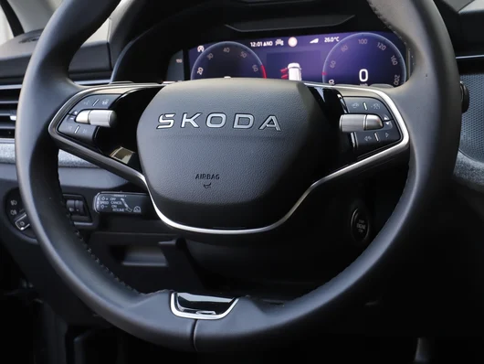 Bild eines Škoda Kamiq Selection TSI DSG
