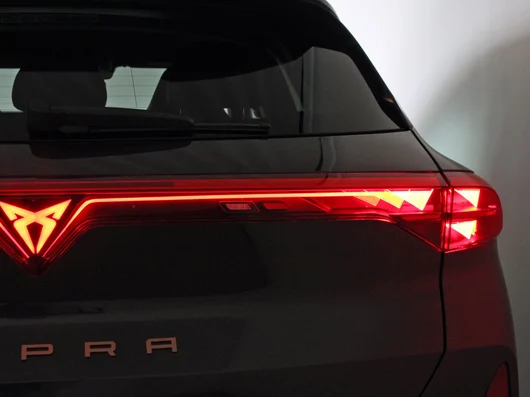 Bild eines Terramar 2.0 TSI 204 PS DSG 4Drive