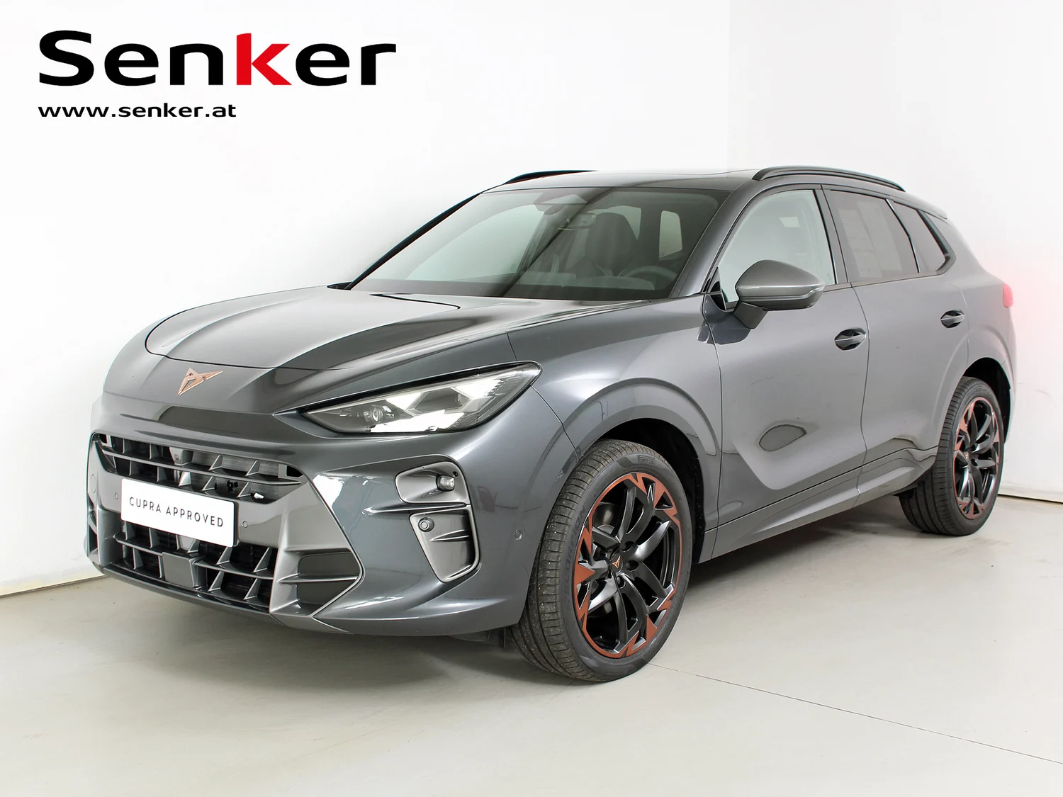 Bild eines Terramar 2.0 TSI 204 PS DSG 4Drive