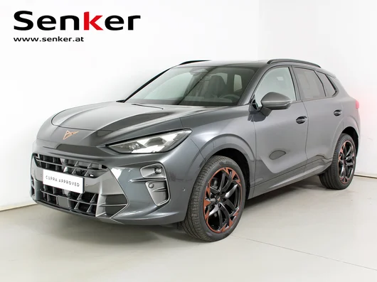 Bild eines Terramar 2.0 TSI 204 PS DSG 4Drive
