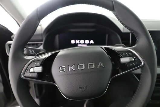 Bild eines Škoda Scala Selection TSI DSG