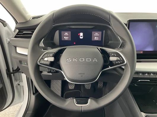 Bild eines Škoda Octavia Selection TSI