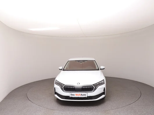 Bild eines Škoda Octavia Selection TSI