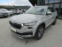 Škoda Kodiaq 4x4 Ambition TDI DSG in Stahl-Grau