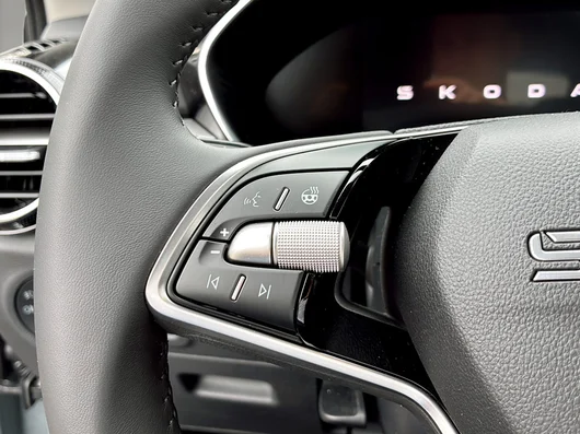 Bild eines Škoda Fabia Selection TSI DSG
