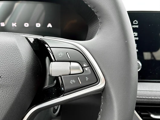 Bild eines Škoda Fabia Selection TSI DSG