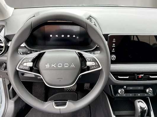 Bild eines Škoda Fabia Selection TSI DSG