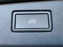 VW Tiguan R-Line TDI DSG in Cipressino-Grün Metallic