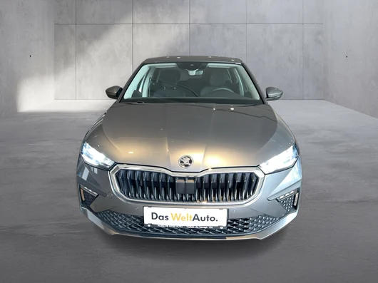 Bild eines Škoda Scala Selection TSI DSG
