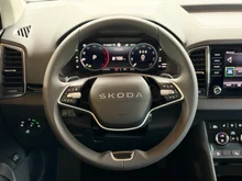 Škoda Karoq 4x4 Selection TDI DSG in Smokey Diamond-Silber Metallic