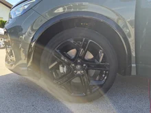 VW Tiguan Sport TDI 4MOTION DSG in Cipressino-Grün Metallic