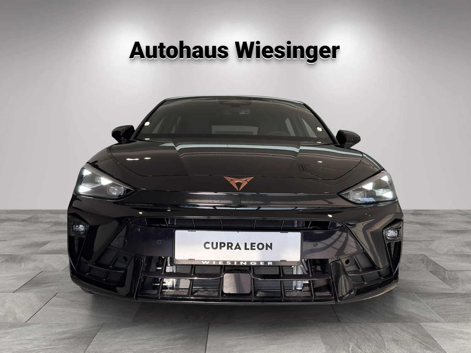 Bild eines Leon e-HYBRID 150/204