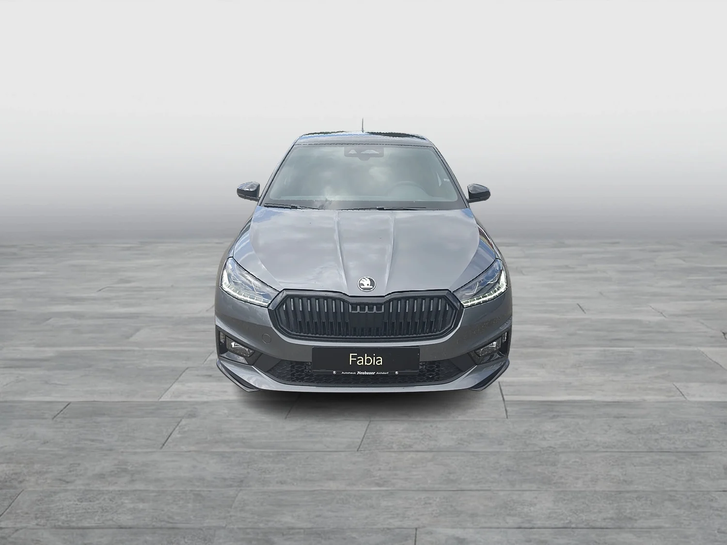Bild eines Fabia Monte Carlo TSI DSG
