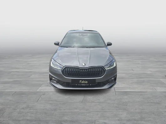 Bild eines Fabia Monte Carlo TSI DSG