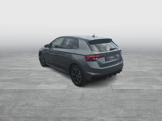 Bild eines Fabia Monte Carlo TSI DSG