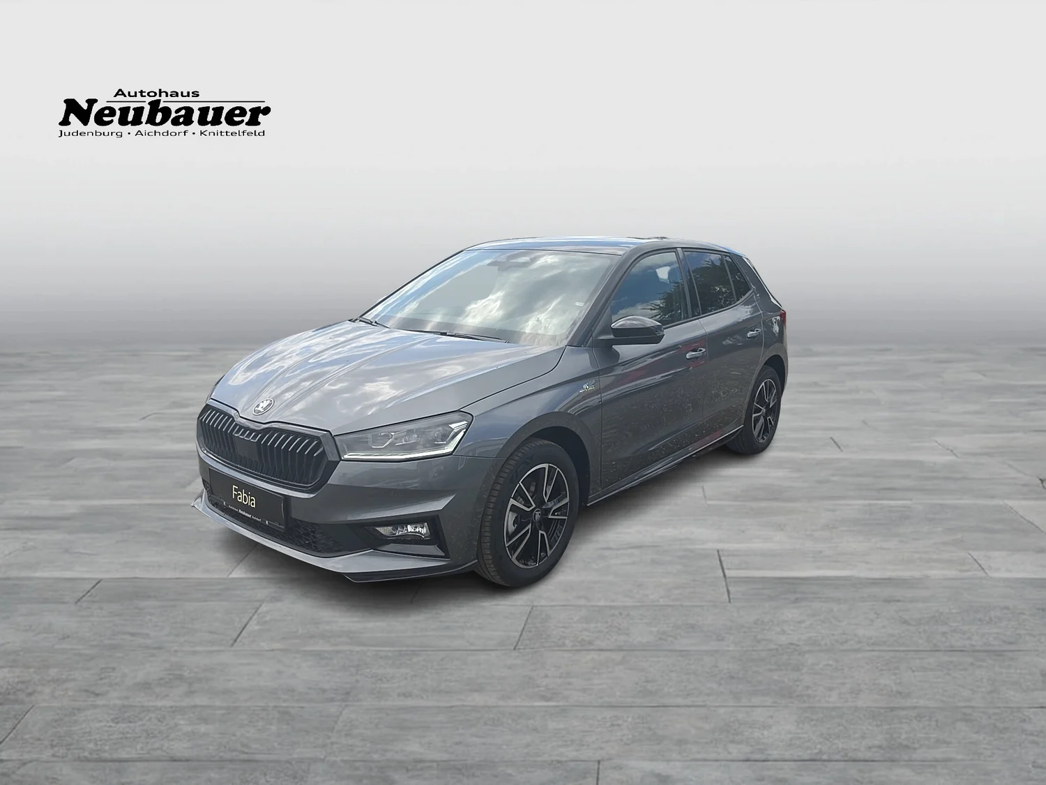 Bild eines Fabia Monte Carlo TSI DSG