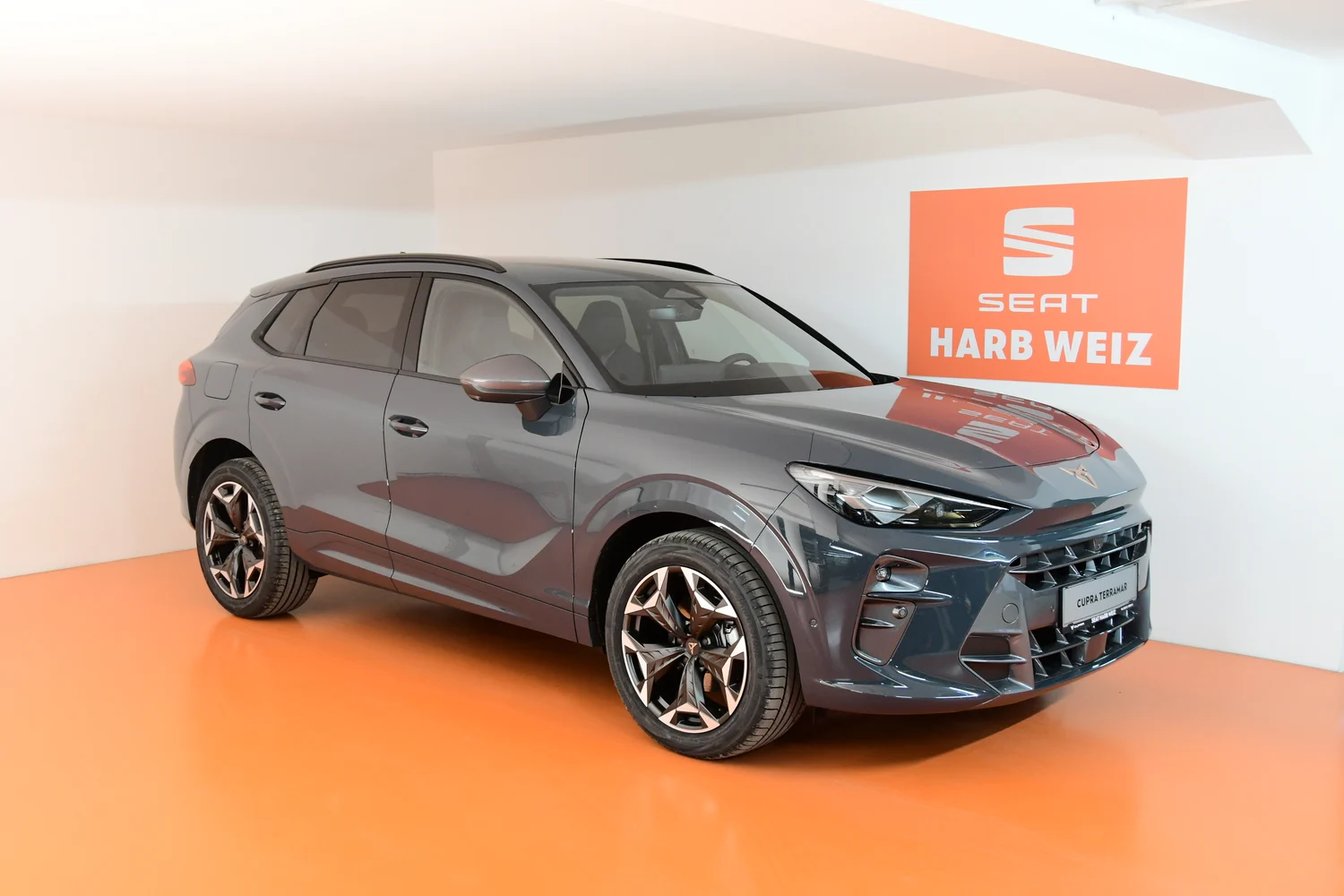 Bild eines Terramar 2.0 TSI 204 PS DSG 4Drive