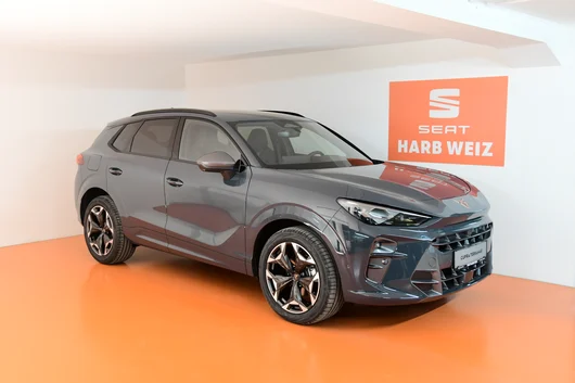 Bild eines Terramar 2.0 TSI 204 PS DSG 4Drive