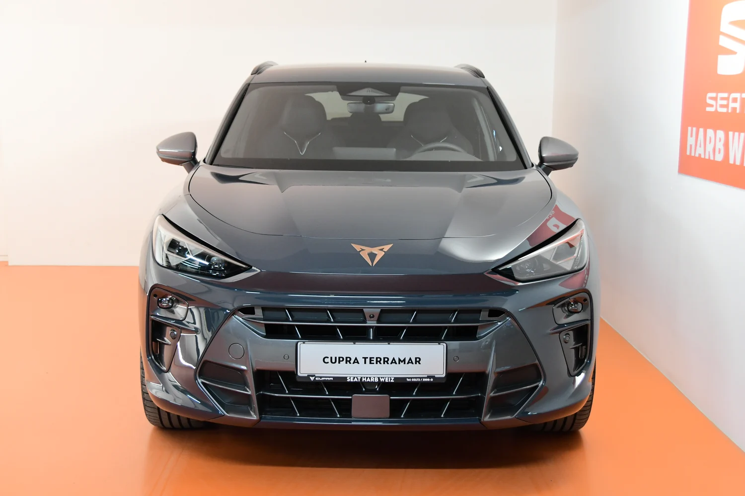 Bild eines Terramar 2.0 TSI 204 PS DSG 4Drive