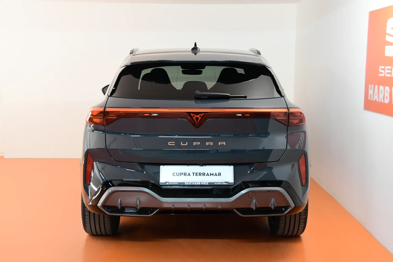 Bild eines Terramar 2.0 TSI 204 PS DSG 4Drive