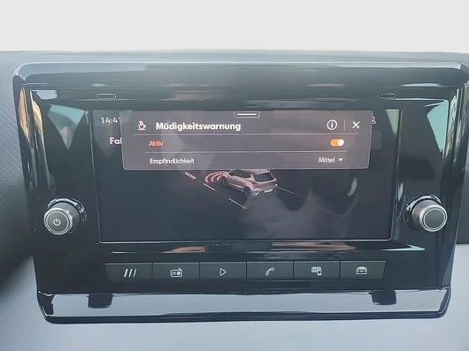 Bild eines Ibiza FR 1.0 TSI 95PS