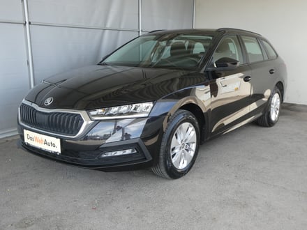 Škoda OCTAVIA Combi 4x4 Ambition TDI DSG