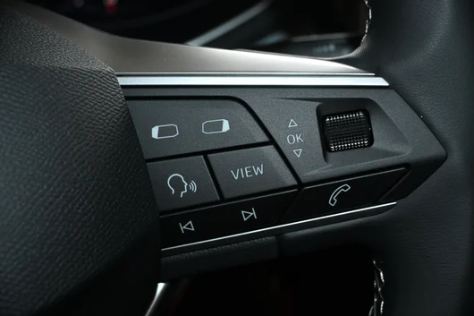 Bild eines Arona Style Edition 1.0 TSI DSG