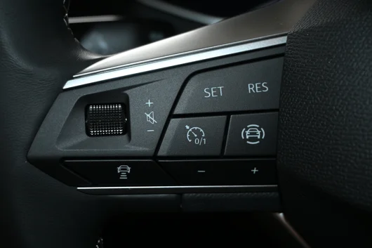 Bild eines Arona Style Edition 1.0 TSI DSG