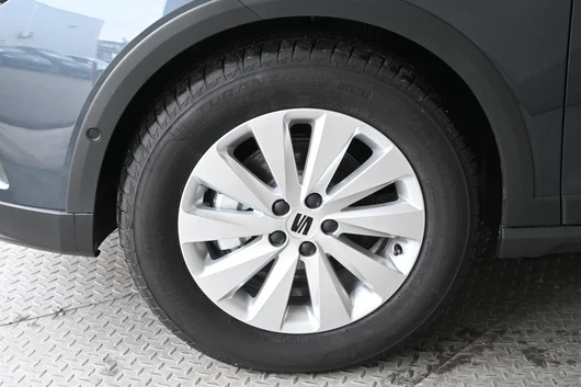 Bild eines Arona Style Edition 1.0 TSI DSG