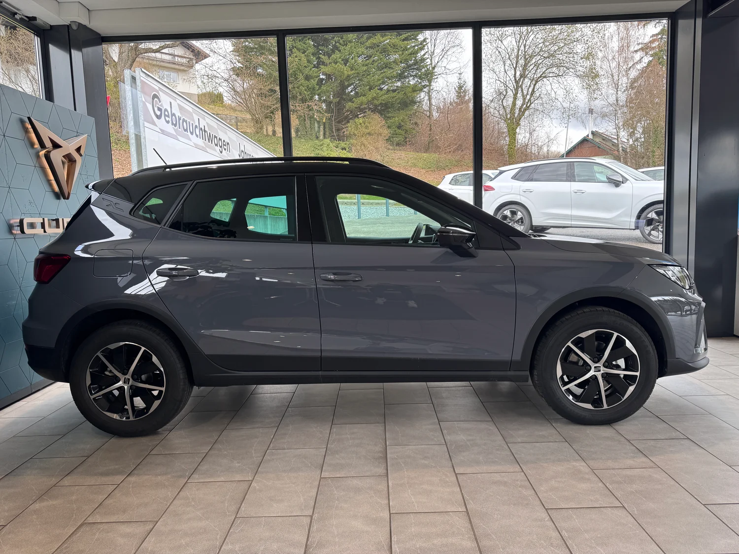 Bild eines Arona Style Edition 1.0 TSI DSG