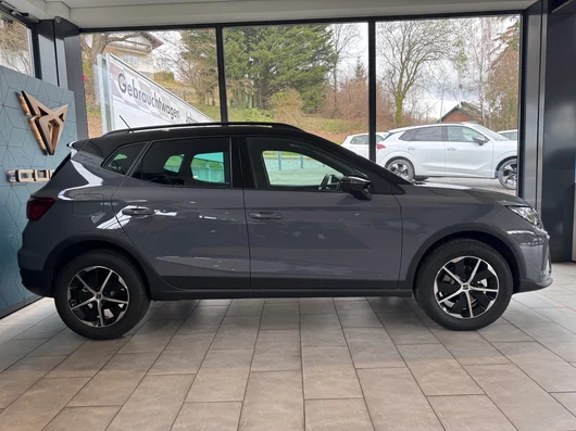 Bild eines Arona Style Edition 1.0 TSI DSG