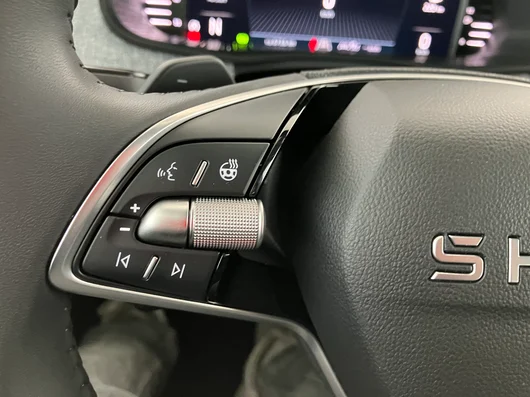 Bild eines Škoda Kamiq Selection TSI DSG