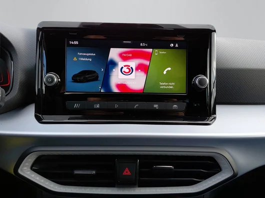 Bild eines Ibiza FR Edition 1.0 TSI