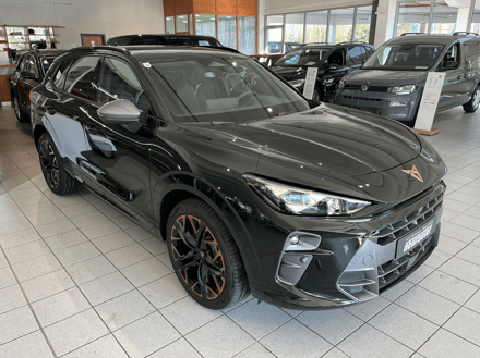 CUPRA Terramar 2.0 TSI 204 PS DSG 4Drive