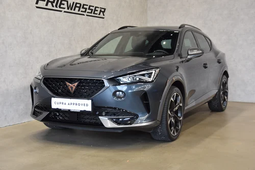 CUPRA Formentor 2.0 TSI 190 PS DSG 4Drive