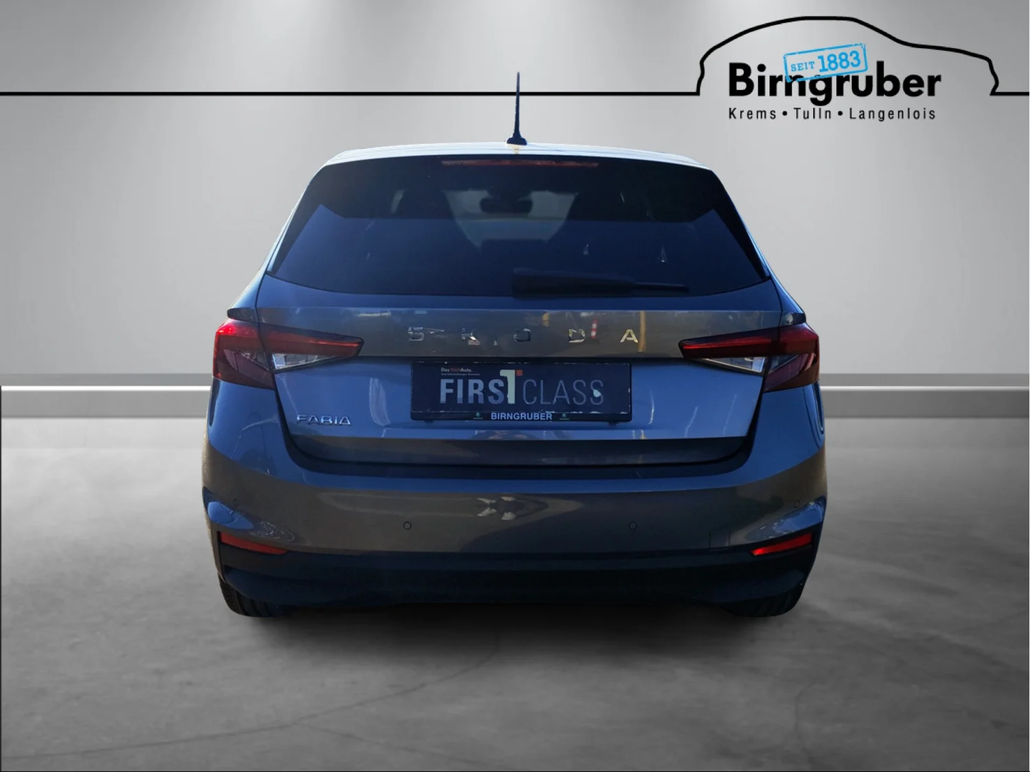 Bild eines Fabia Selection TSI