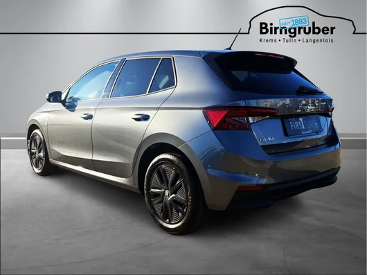 Bild eines Fabia Selection TSI