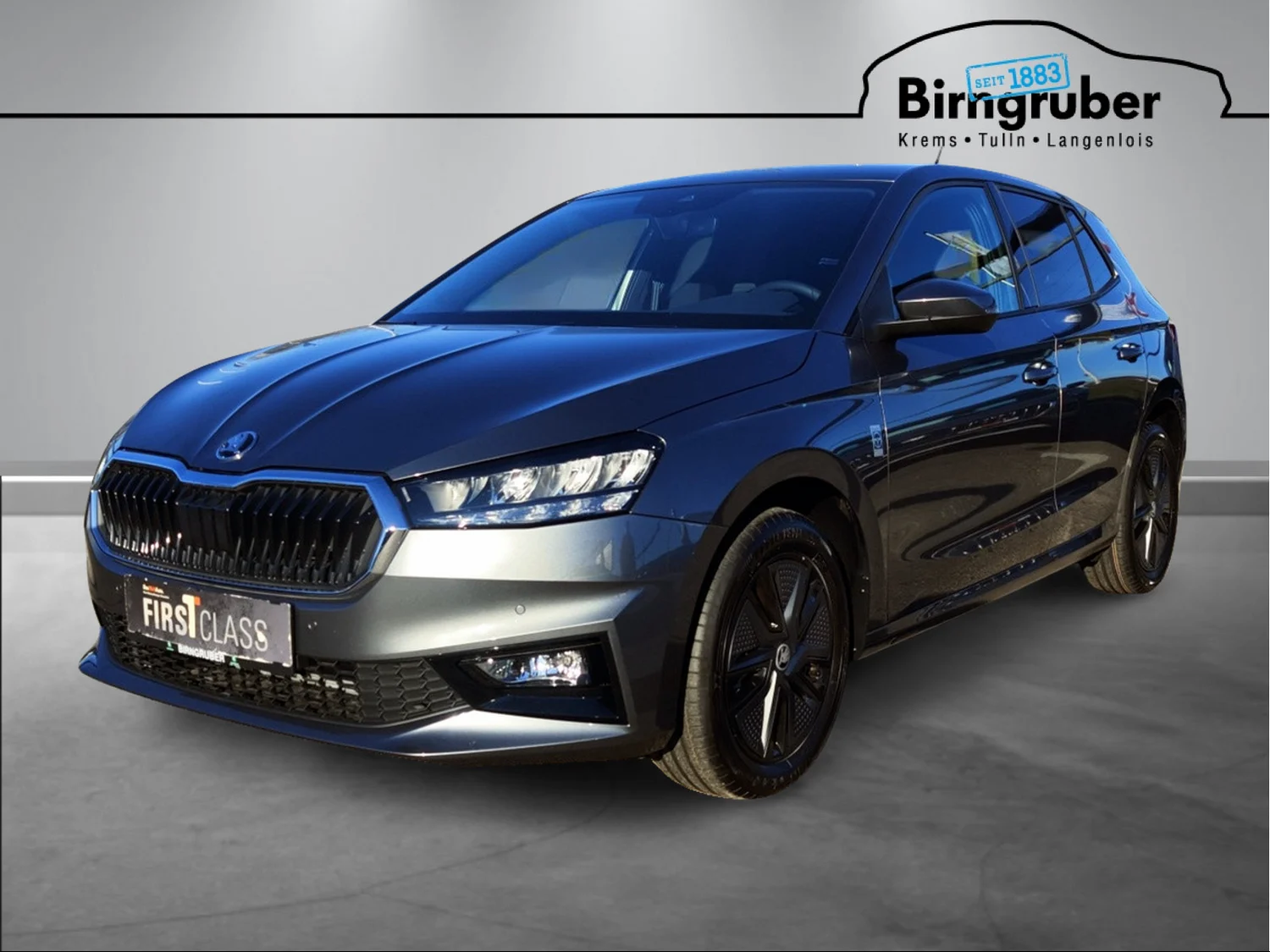 Bild eines Fabia Selection TSI