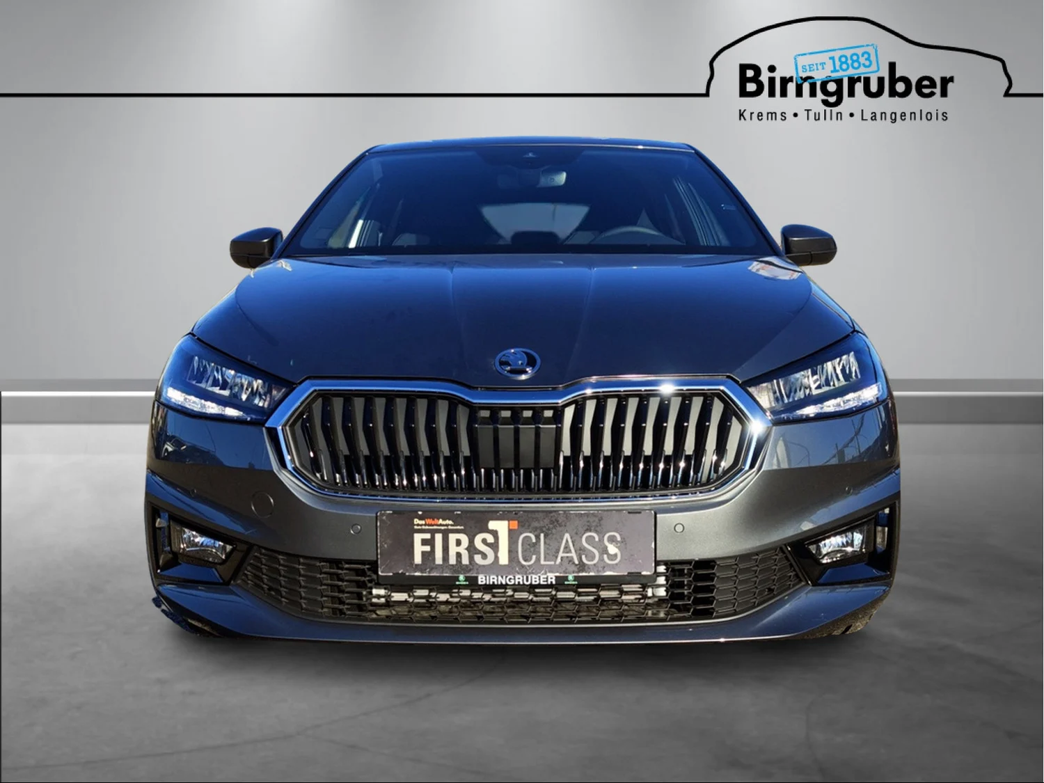 Bild eines Fabia Selection TSI