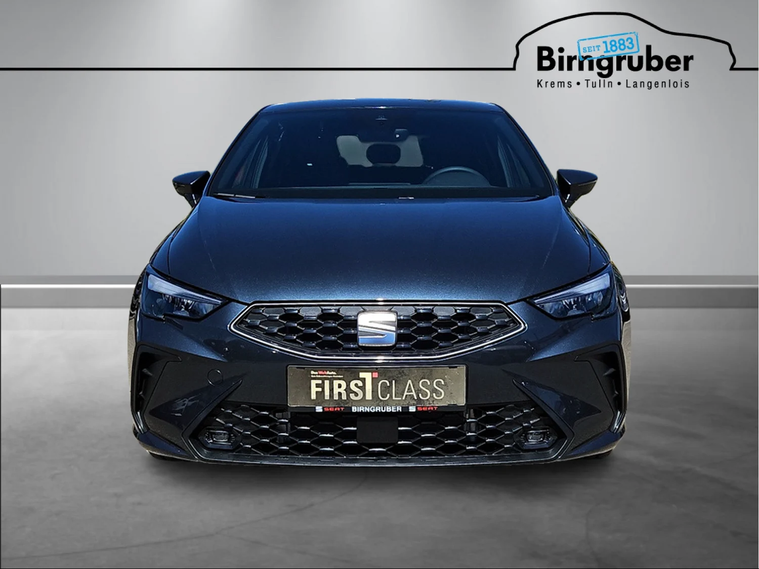 Bild eines Ibiza Style 1.0 TSI DSG 115PS