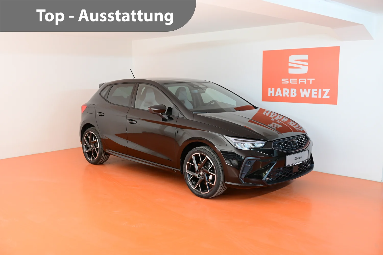 Bild eines Ibiza FR 1.0 TSI DSG 115PS