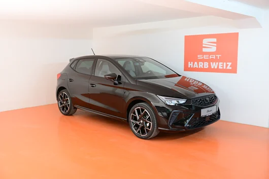 Bild eines Ibiza FR 1.0 TSI DSG 115PS