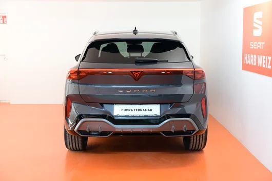 Bild eines Terramar 2.0 TSI 204 PS DSG 4Drive