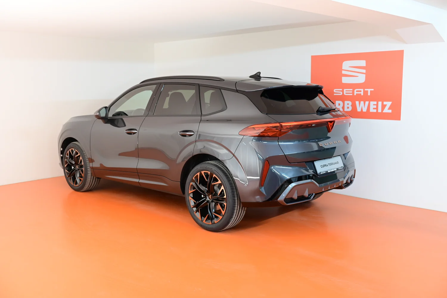 Bild eines Terramar 2.0 TSI 204 PS DSG 4Drive