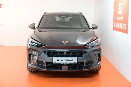 Bild eines Terramar 2.0 TSI 204 PS DSG 4Drive